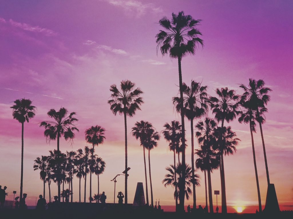 tropical LA