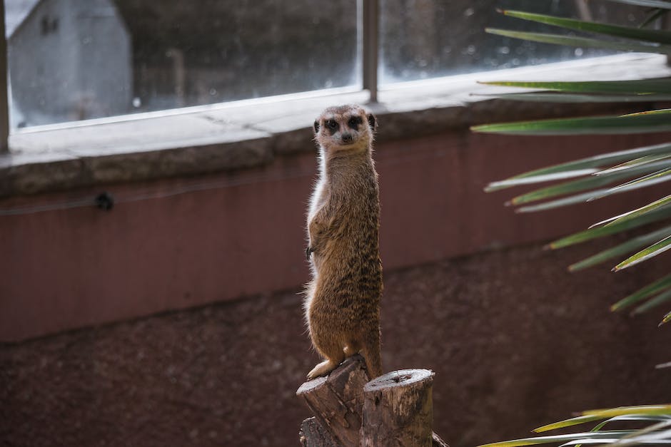 how much is parking at the los angeles zoo